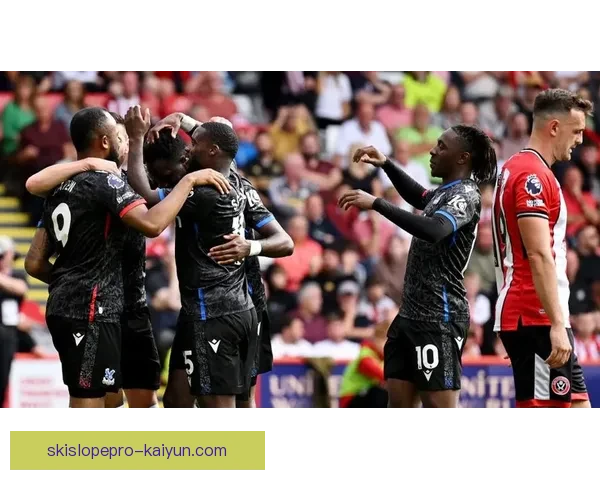 谢菲联球迷数量稳步增长，持续提升球队主场氛围和支持力度